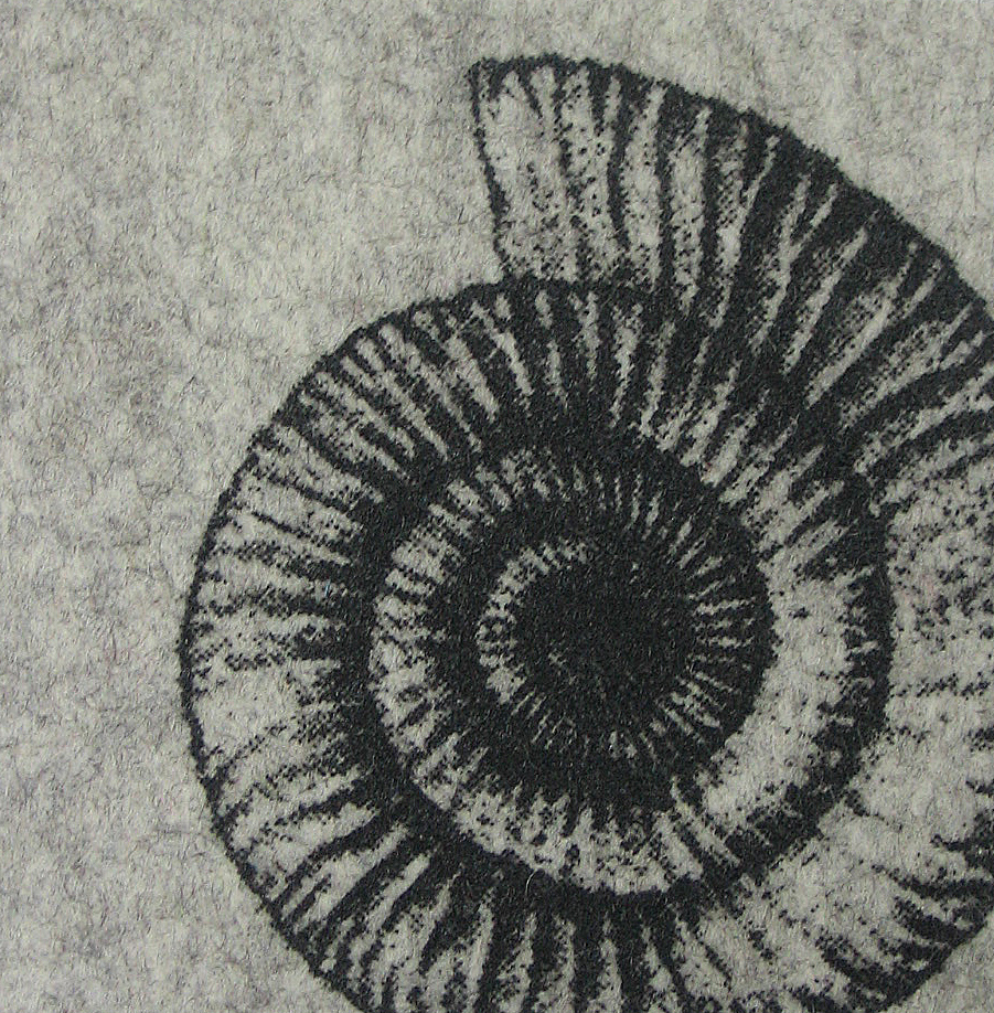Ammonit-Filzl